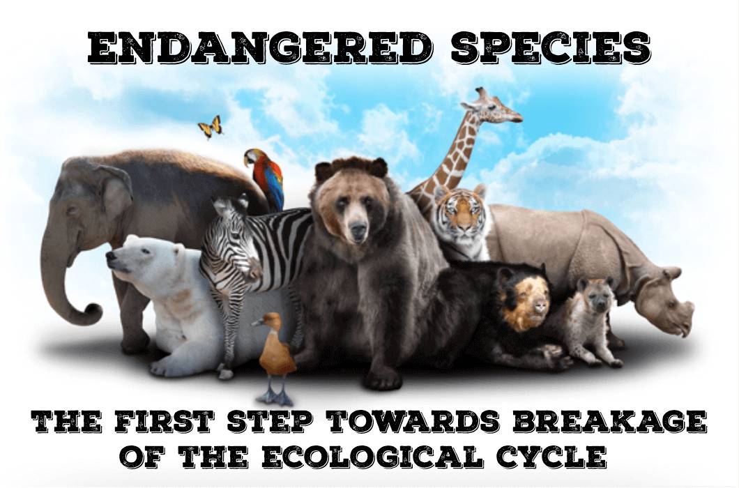 Endangered species: The first step towards breakage of the ecological cycle