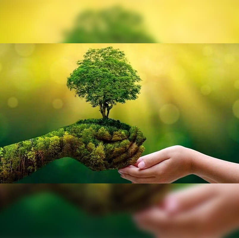 Animated image of hands made with trees and human hand saving planet