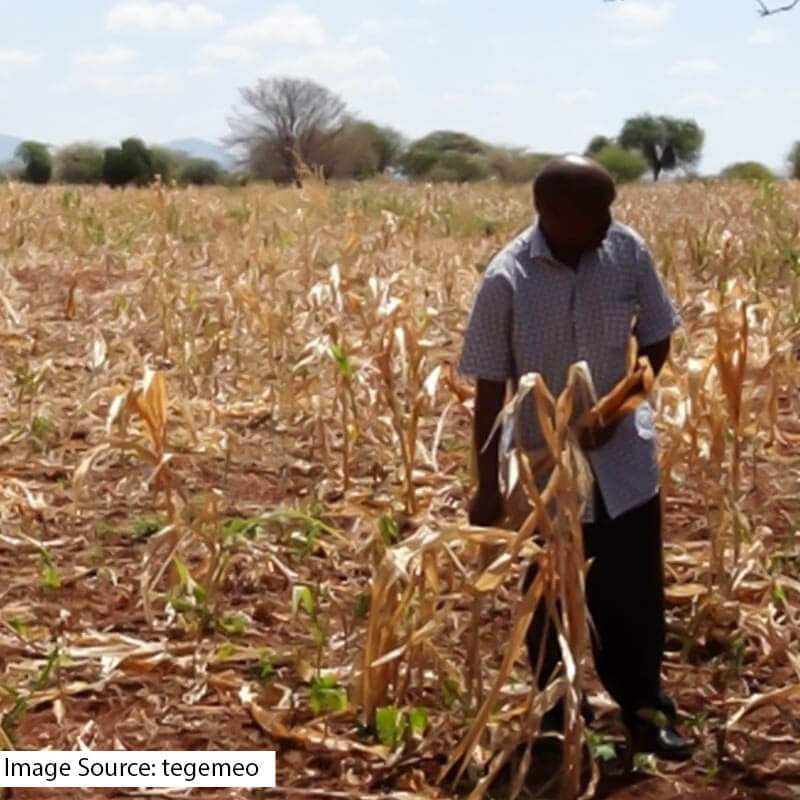  Filaantro destroyed crops natural calamities