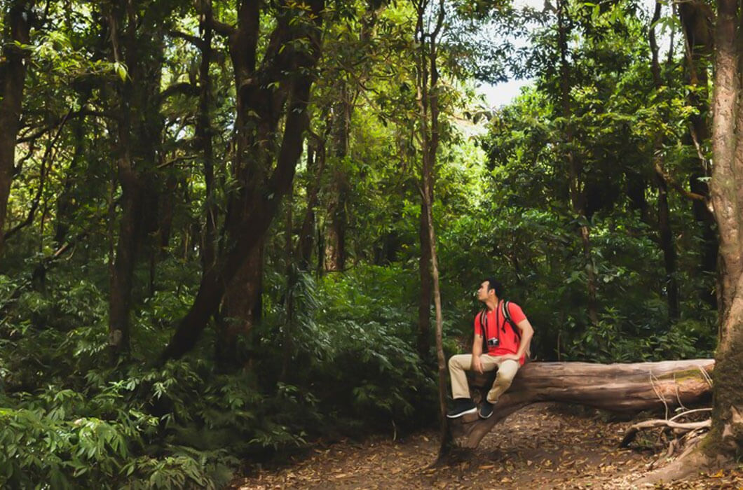 Celebrating the Existence of Wilderness on International Day of Forests