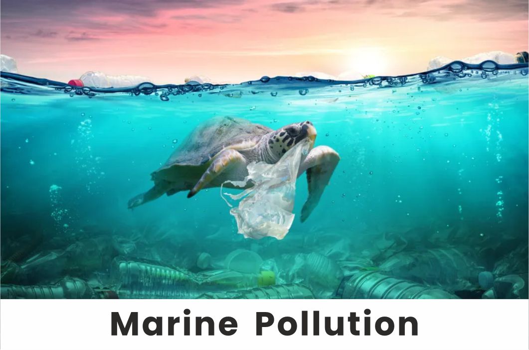 Marine Pollution