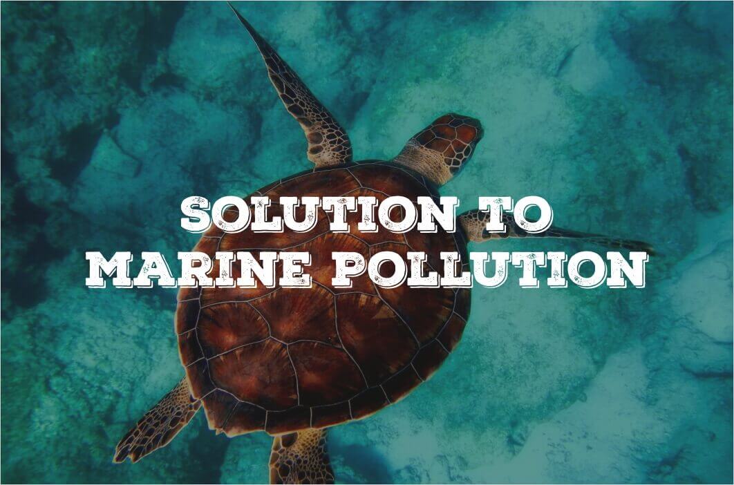 The solution to Marine pollution