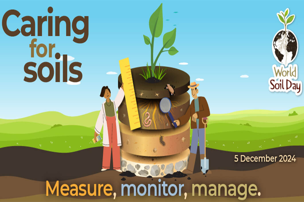 World soil day importance of healthy soil for sustainability